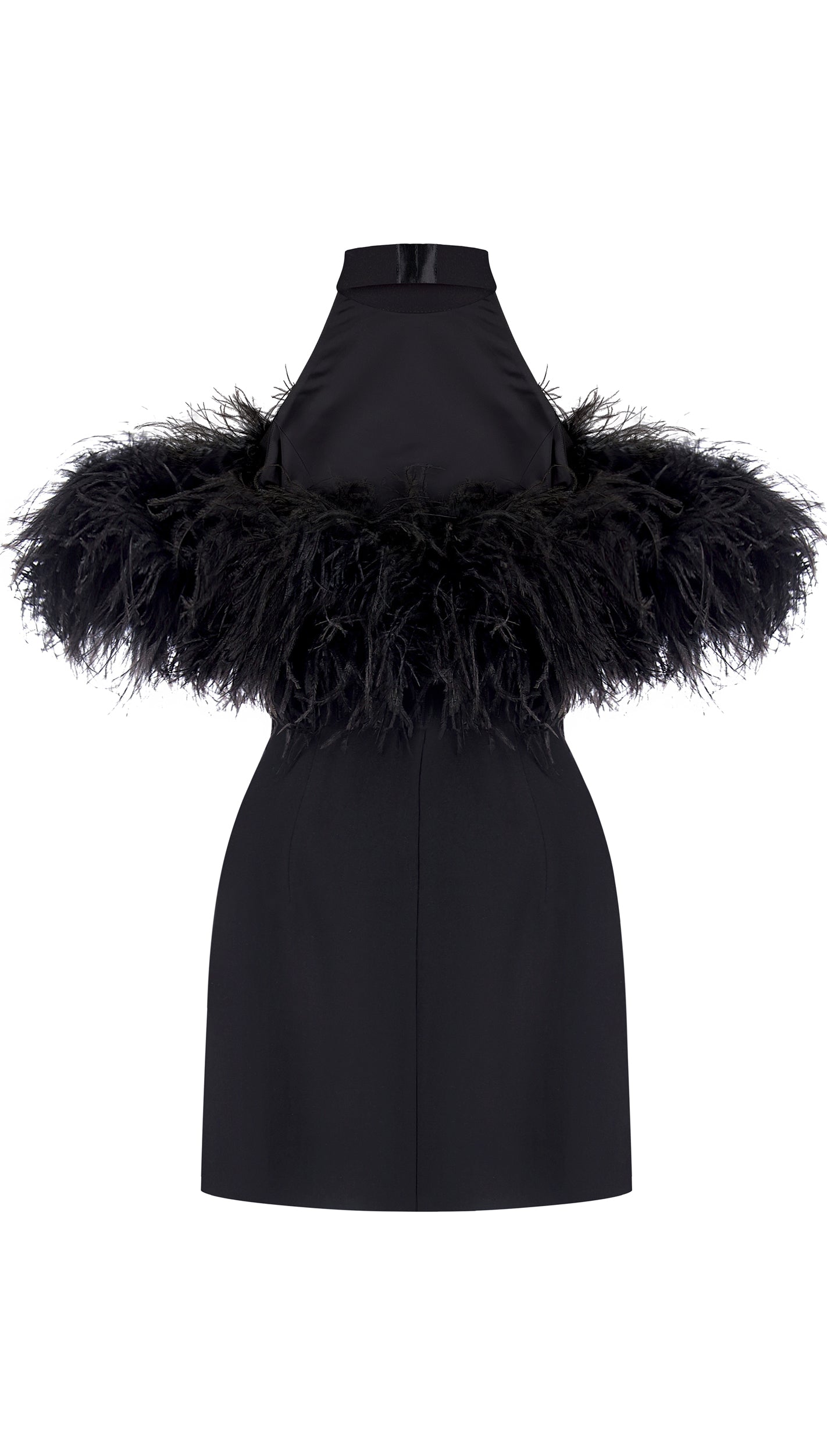 Swan dress black – blazyshower